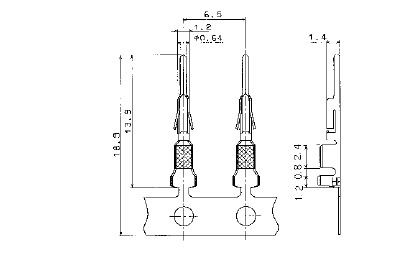 Image_DF1B_2022.