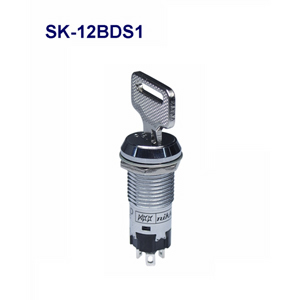 NKK Switches Keylock switches SK-12BDS1  10pcs